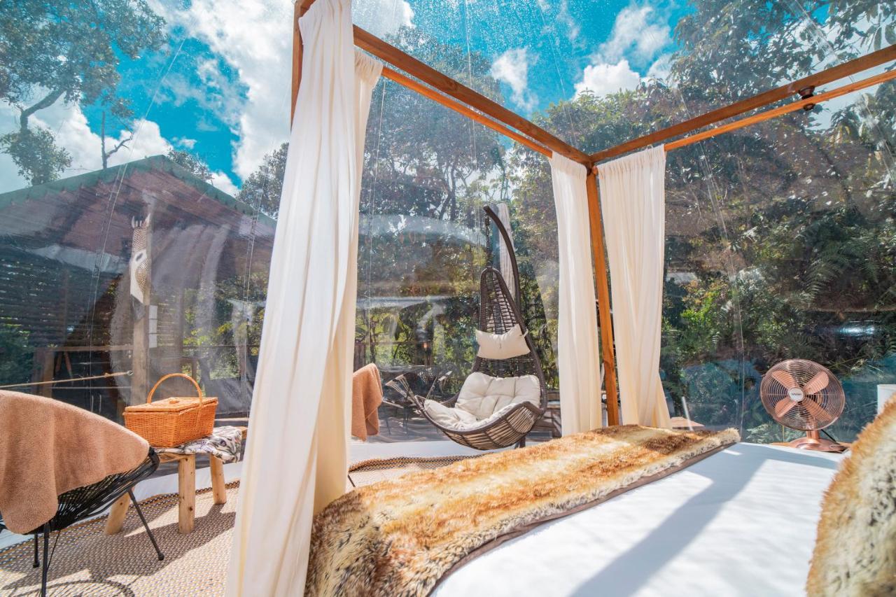 فندق Bubblesky Glamping غواتابيه المظهر الخارجي الصورة